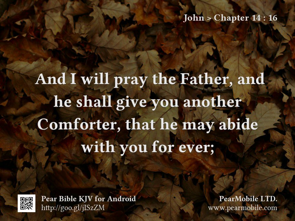 John, Chapter 14:16